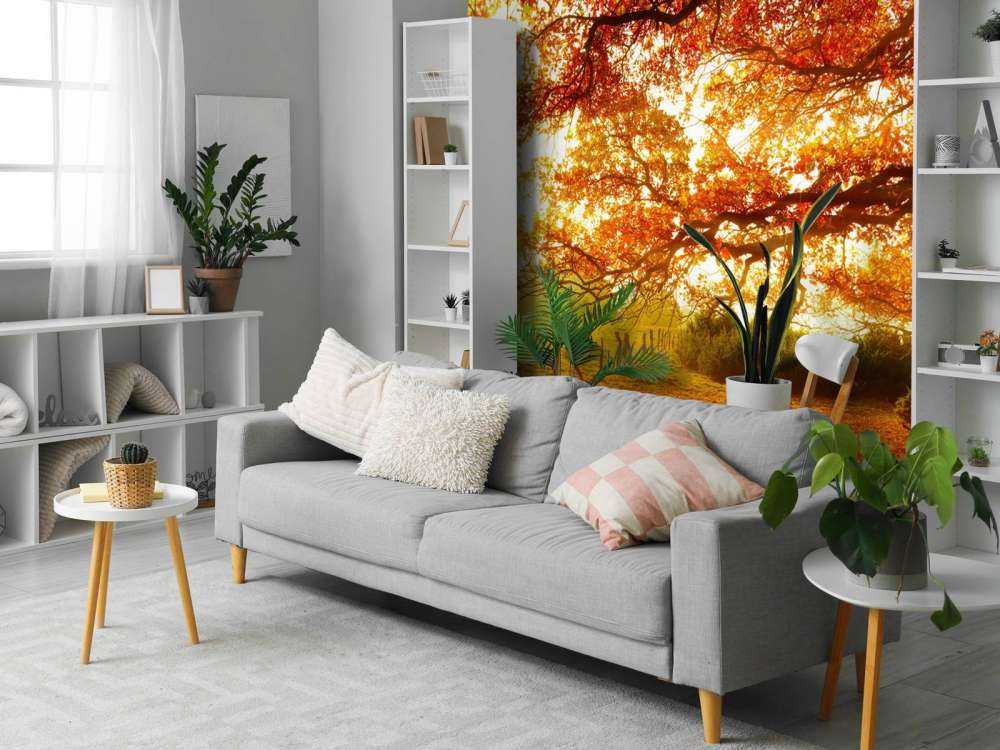 Paysage d'automne avec forêt et prairie