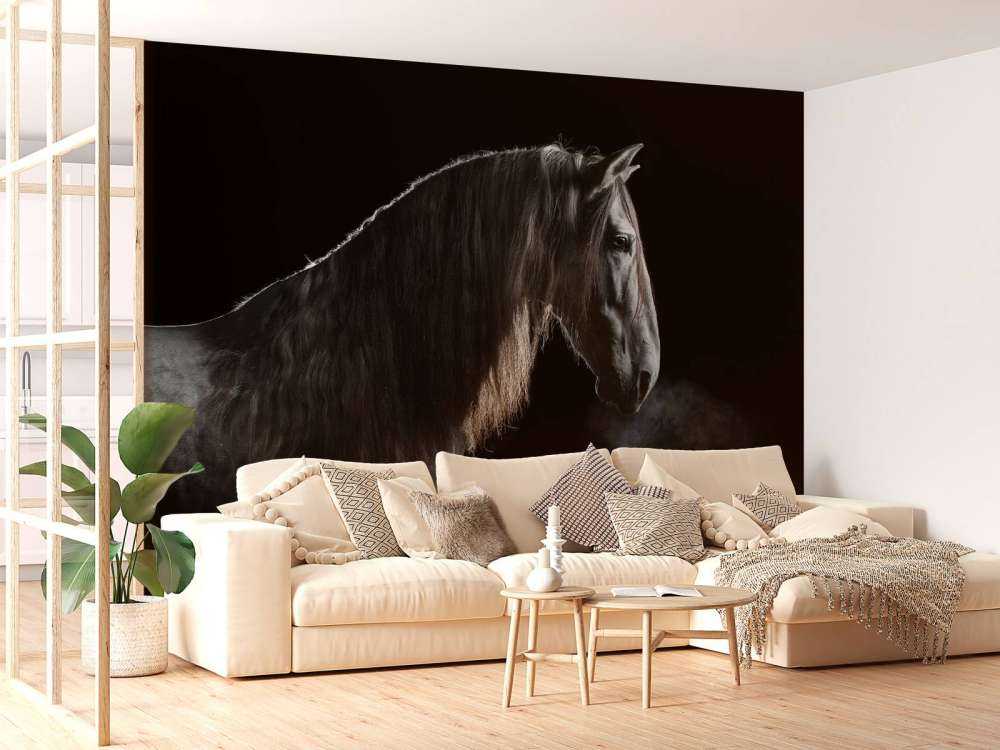 Cheval noir avec une robe grise