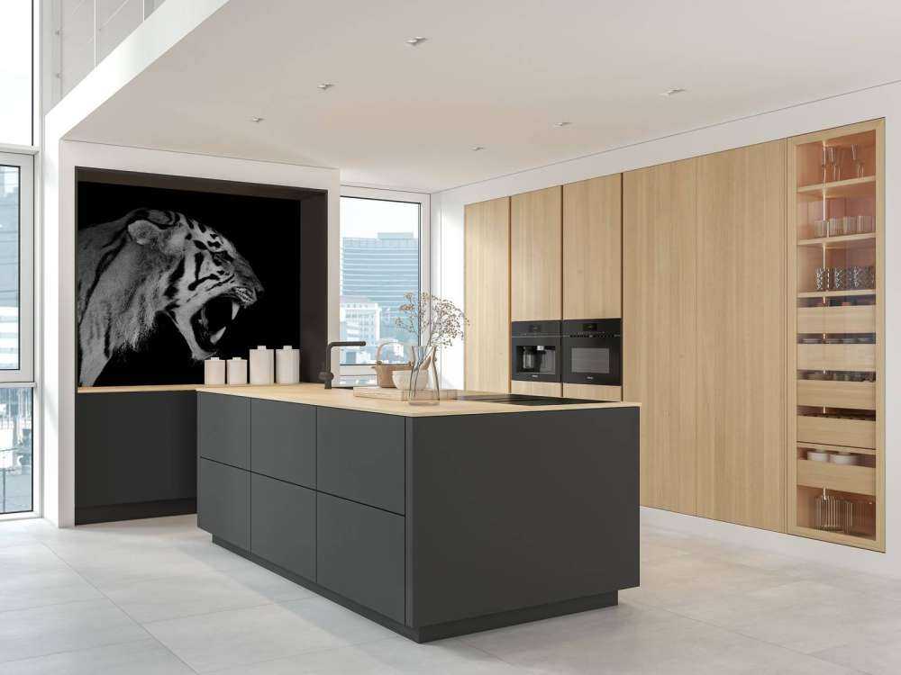 Tigre rugissant noir