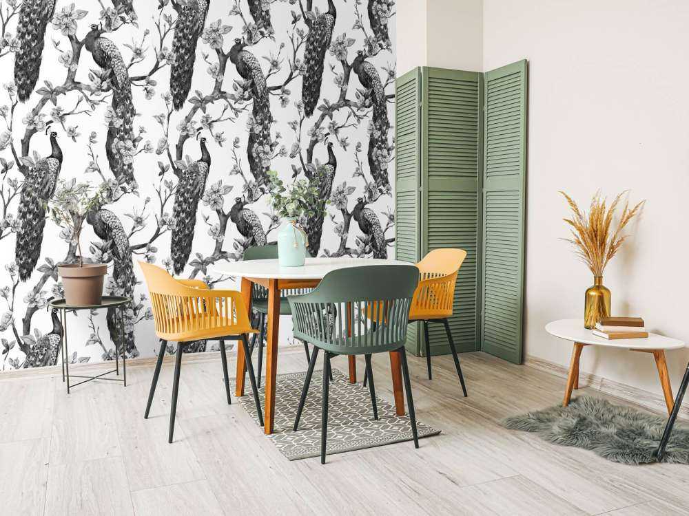 Splendeur Monochrome de Paon