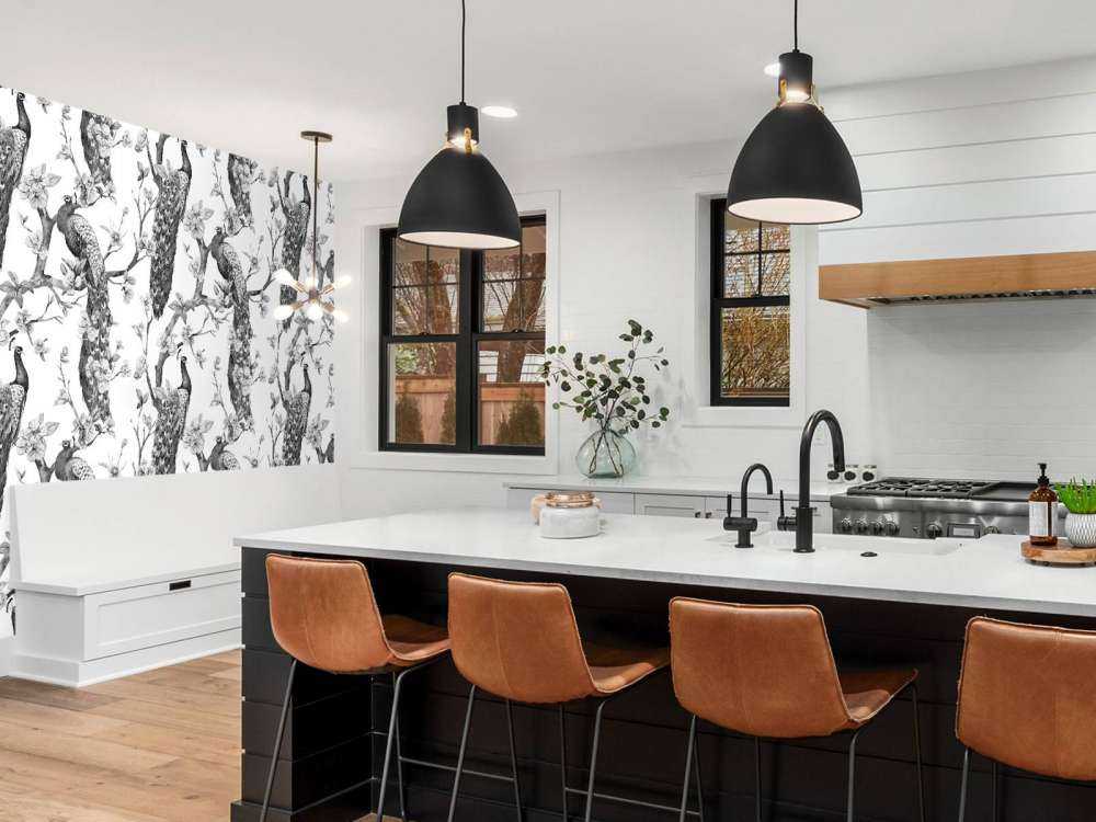 Splendeur Monochrome de Paon