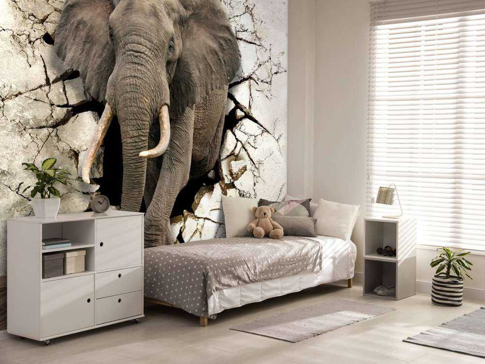 Grand éléphant hors du mur