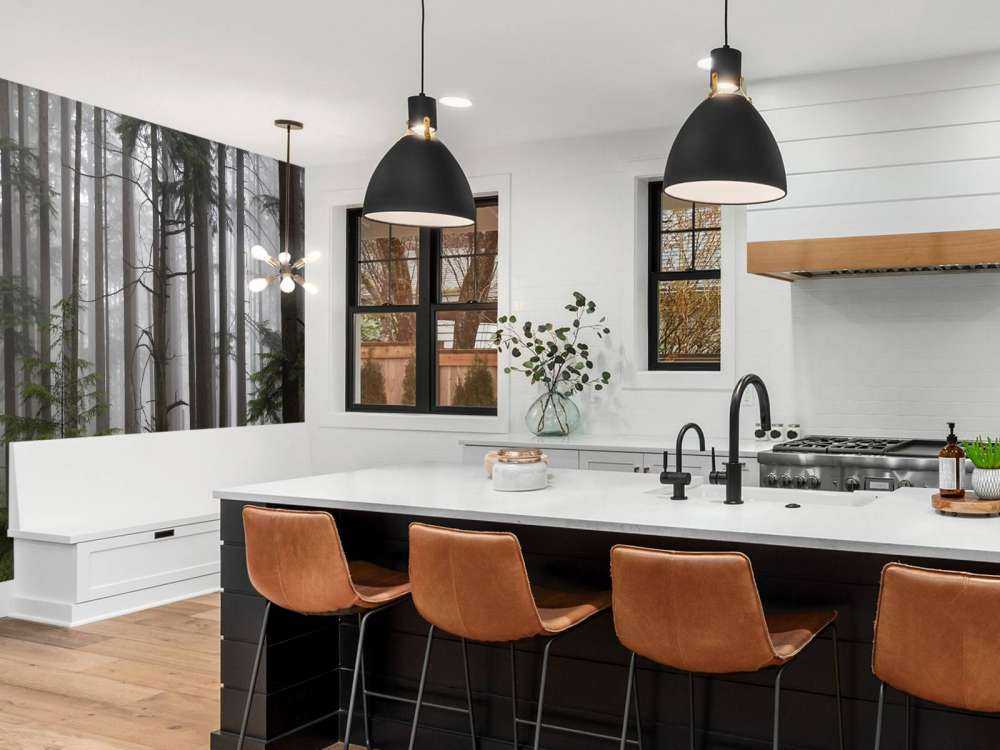 Forêt par temps de brouillard