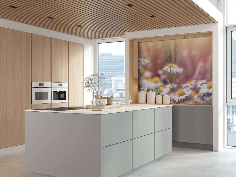 Champ de marguerites