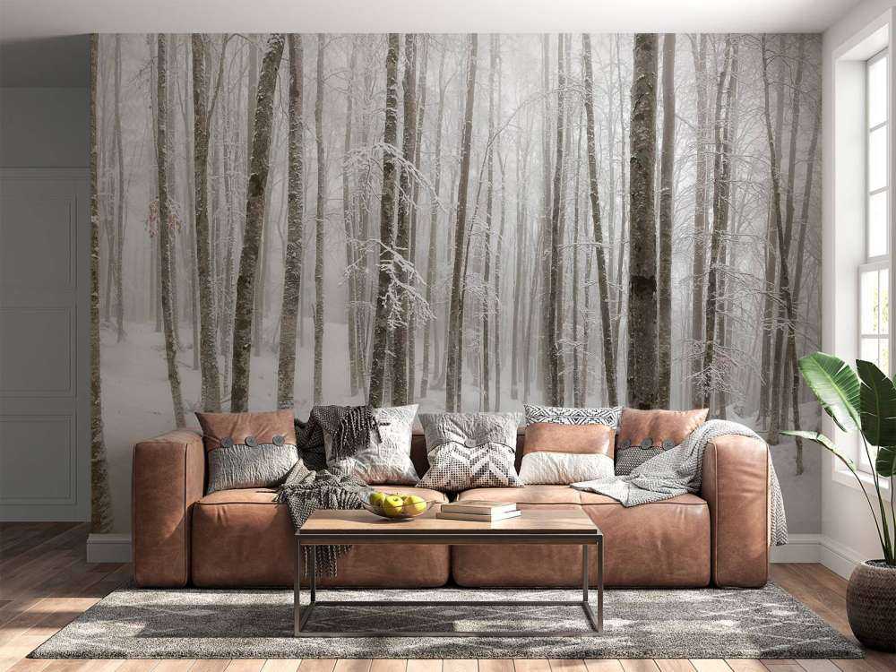 Forêt de hêtres avec de la neige