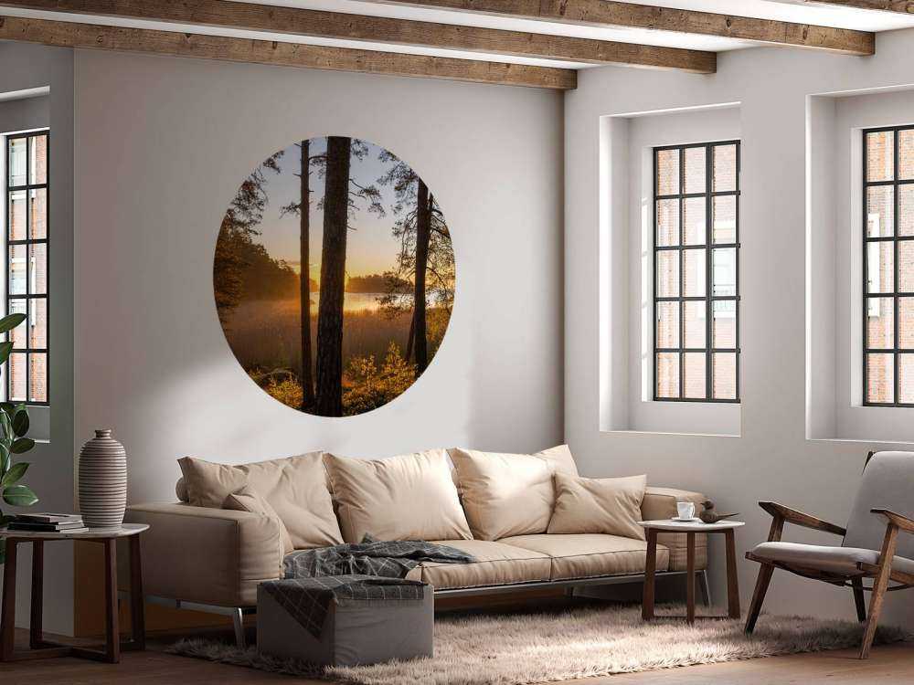Forêt au coucher du soleil