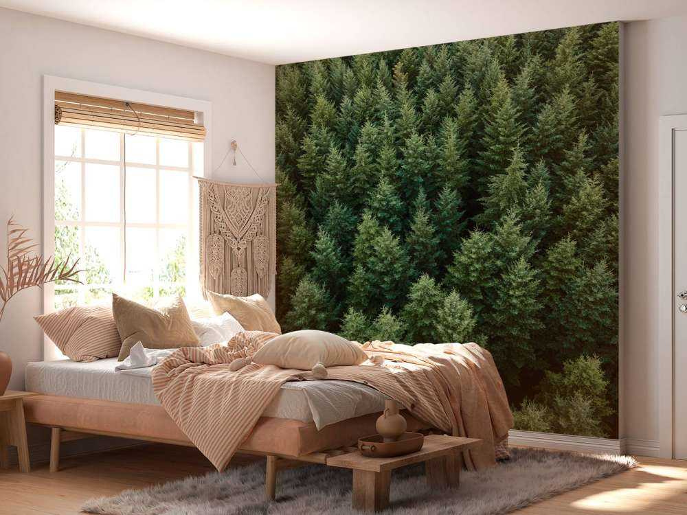 Les sapins de Douglas vus d'en haut