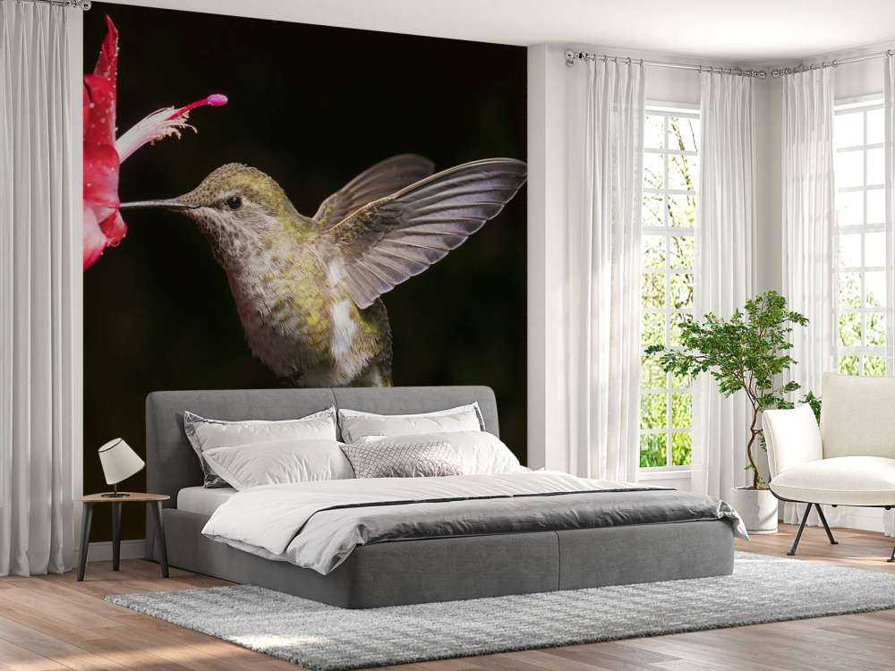 Colibri avec une fleur rouge