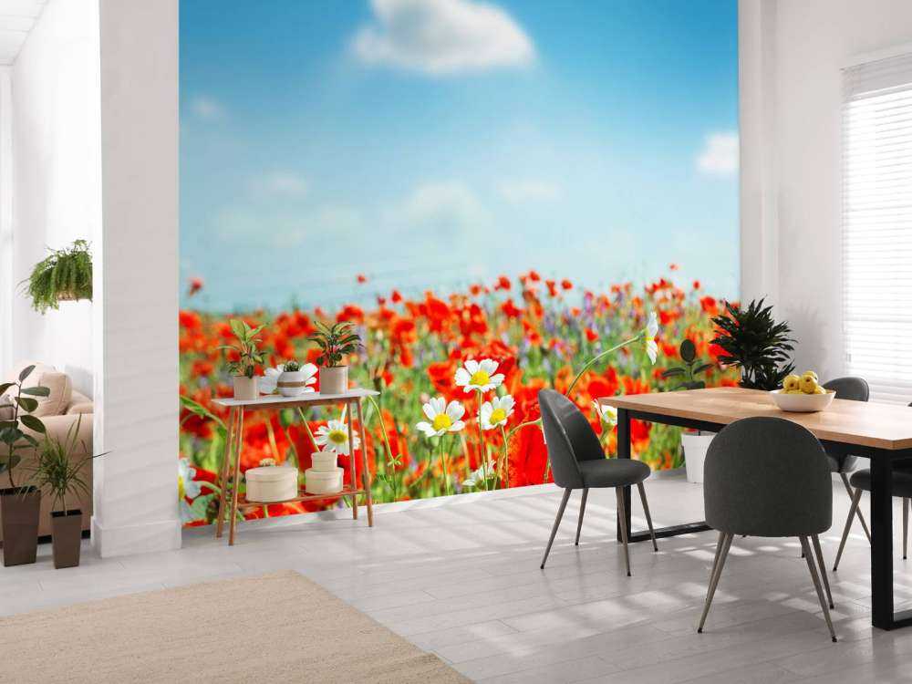 Coquelicots et marguerites