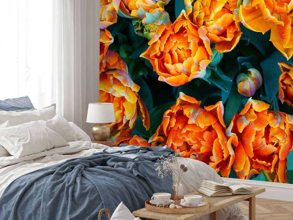 Gros plan sur des tulipes orange