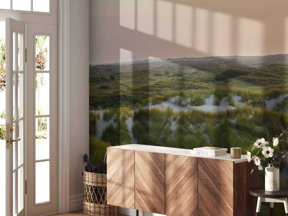 Coucher de soleil dans les dunes