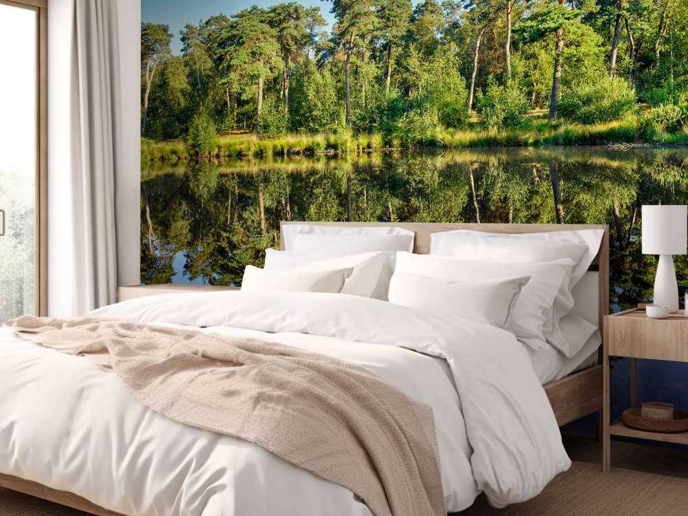 Réflexion dans les bosquets