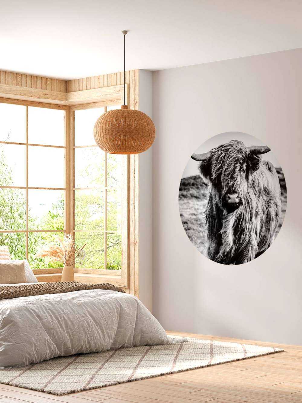 Le Highland écossais en noir et blanc