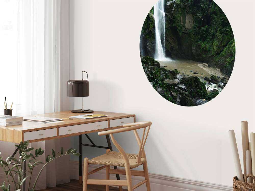 Chute d'eau dans une forêt profonde