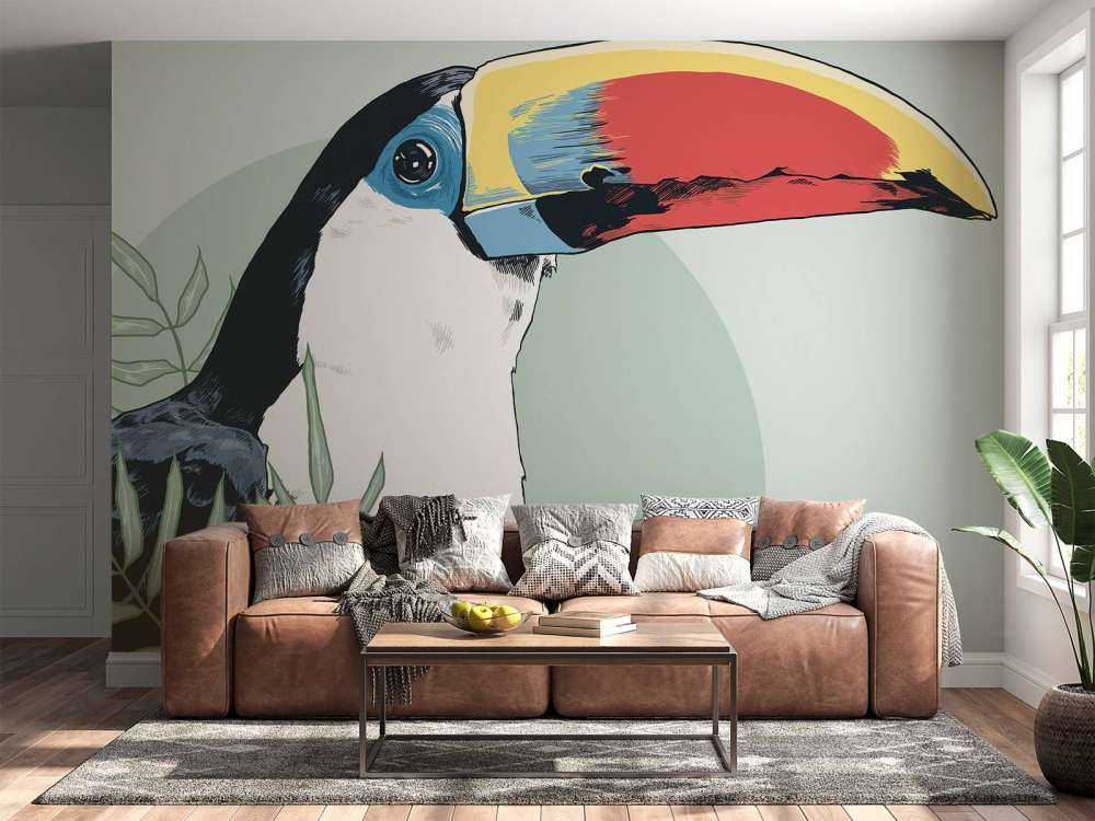 Toucan coloré