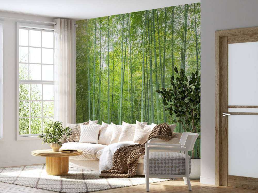 Forêt de bambous verts