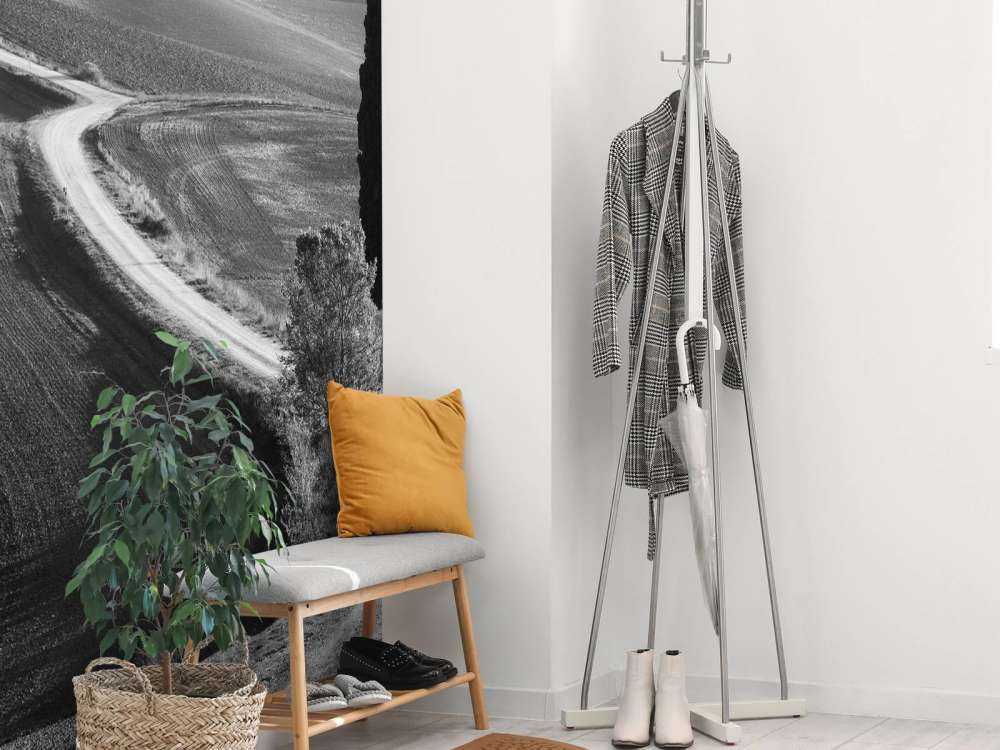 Morning in the field