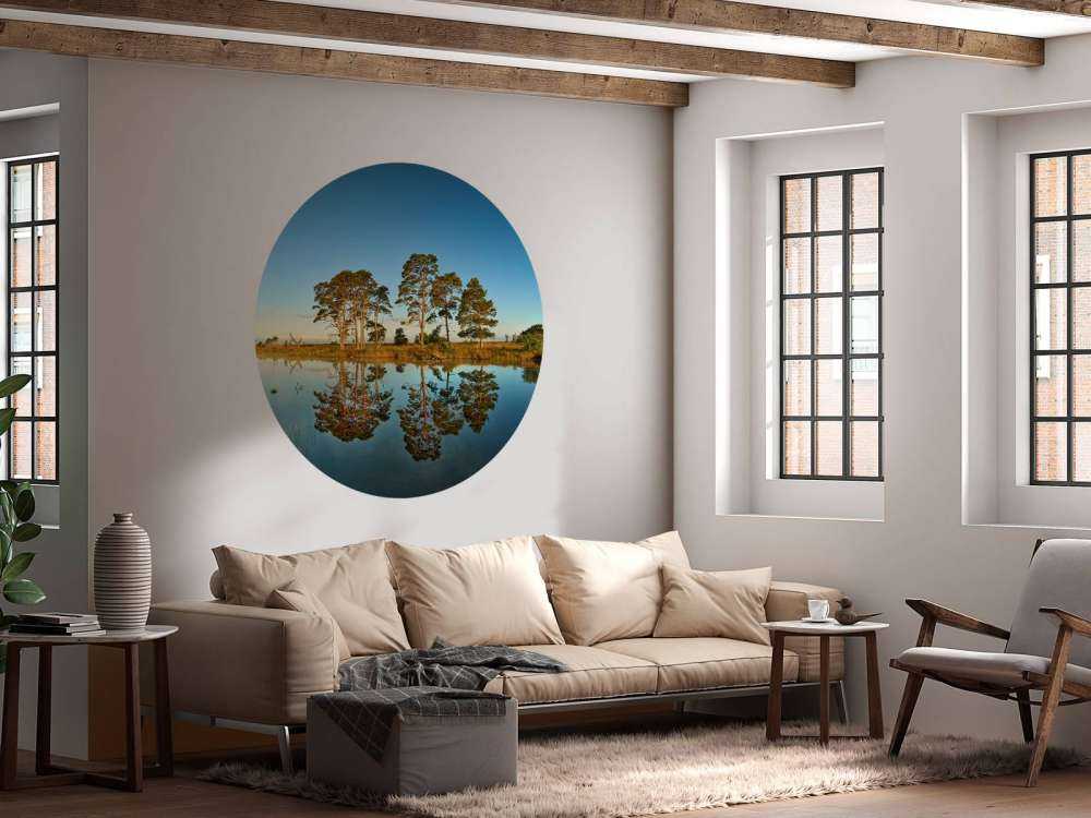 Réflexion dans un lac de forêt