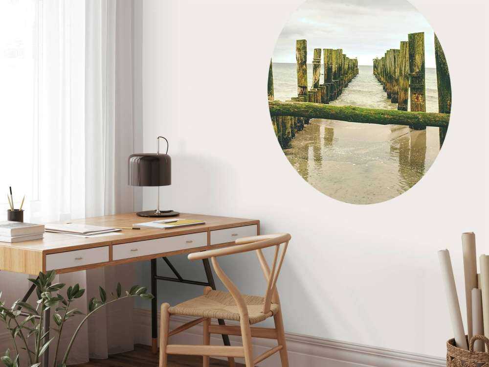 Des têtes de pieux moussues dans l'eau