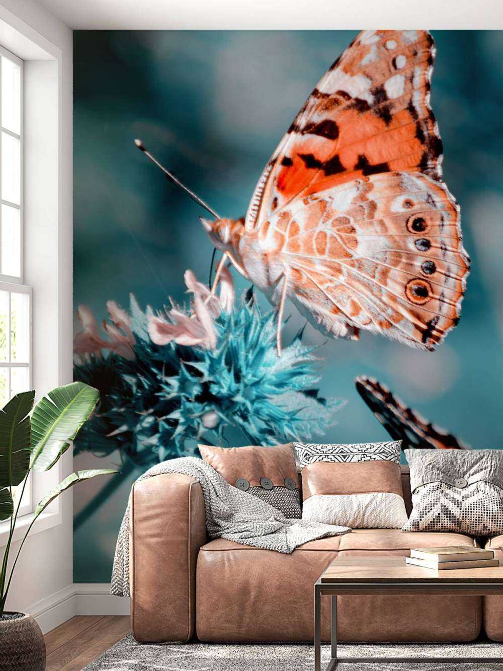 Les papillons de l'orange