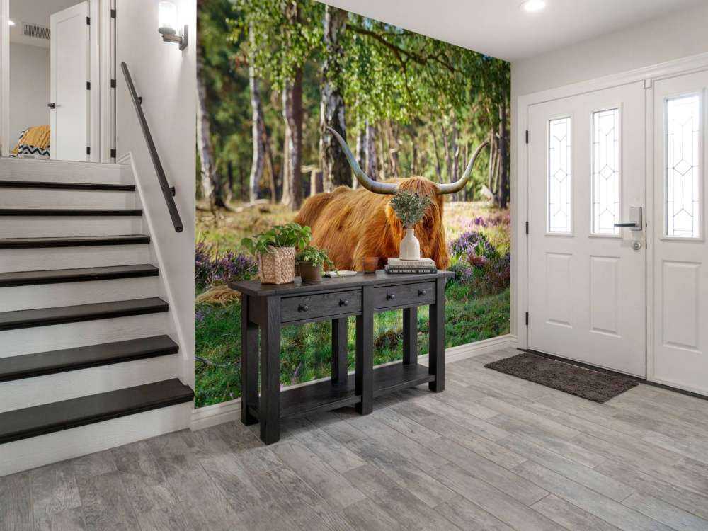 Le repos du Highland écossais