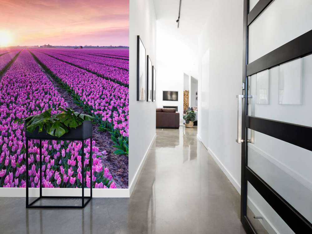 Champ de tulipes au lever du soleil