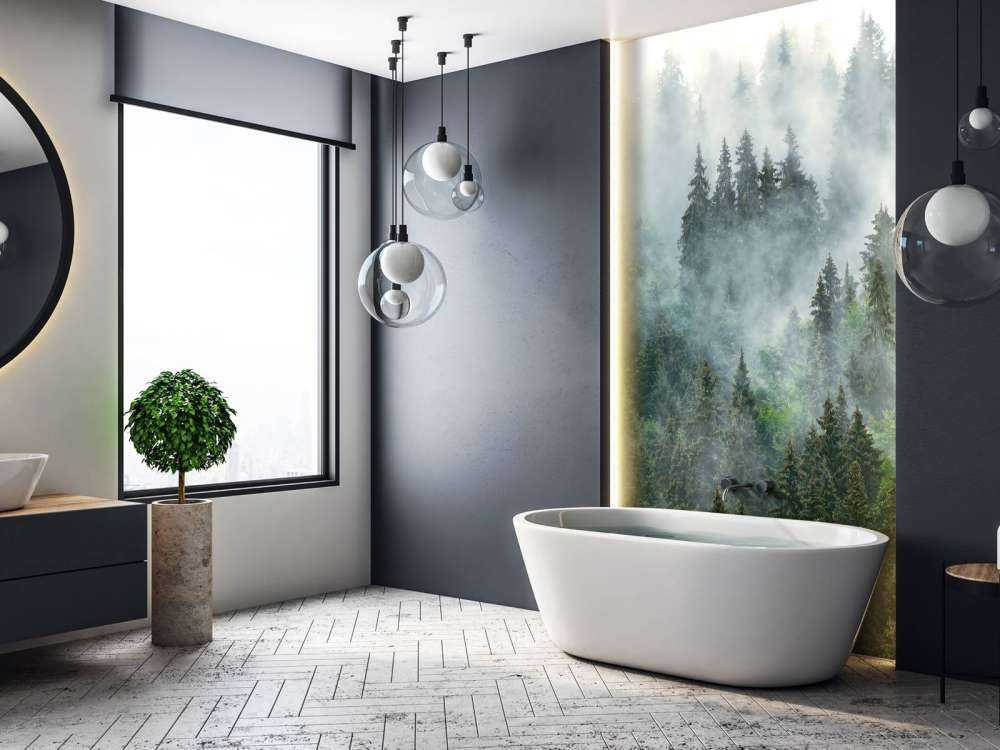 Paysage brumeux avec des arbres verts