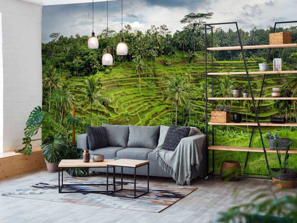 Les rizières thaïlandaises