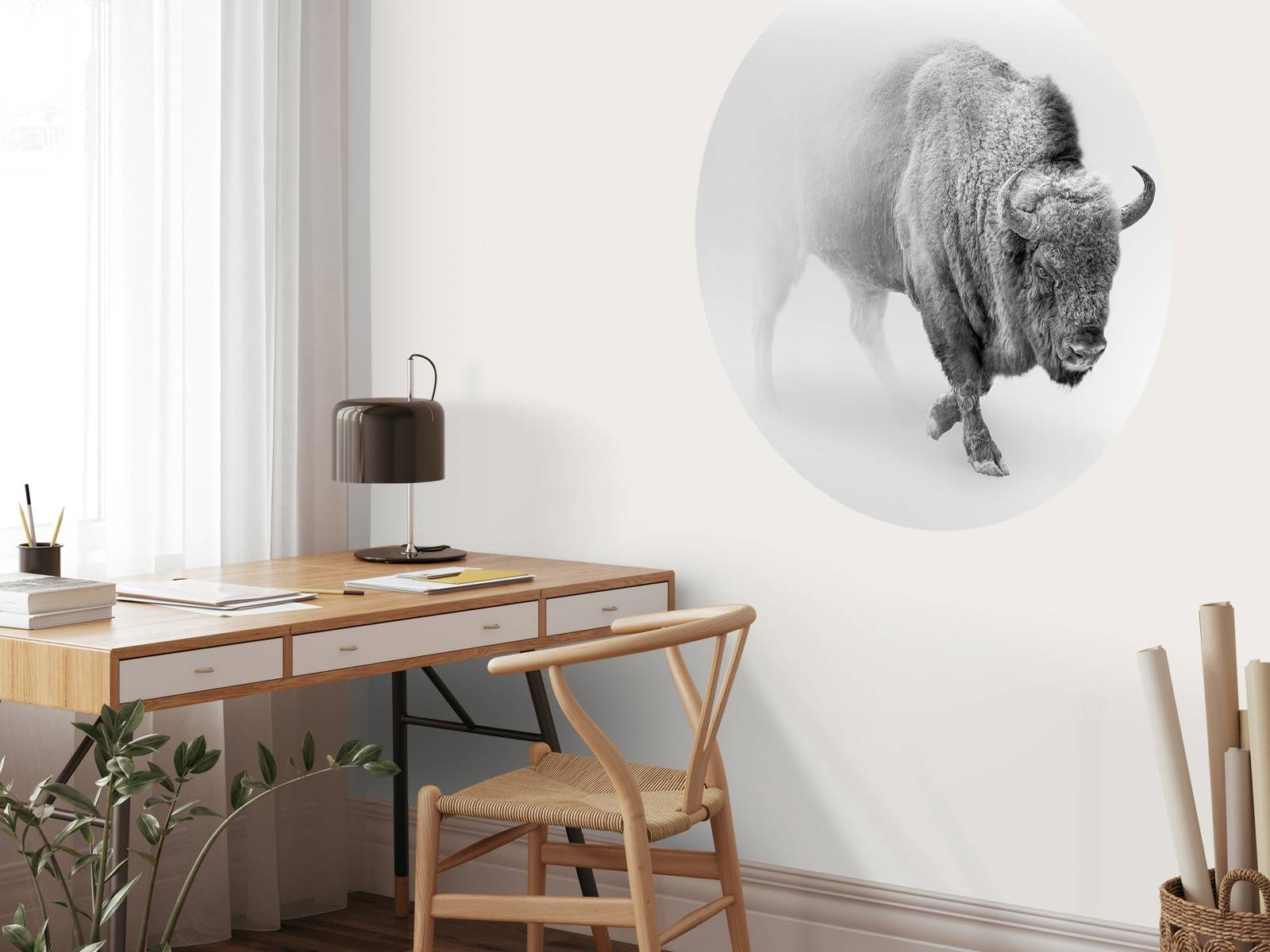 Bison noir et blanc