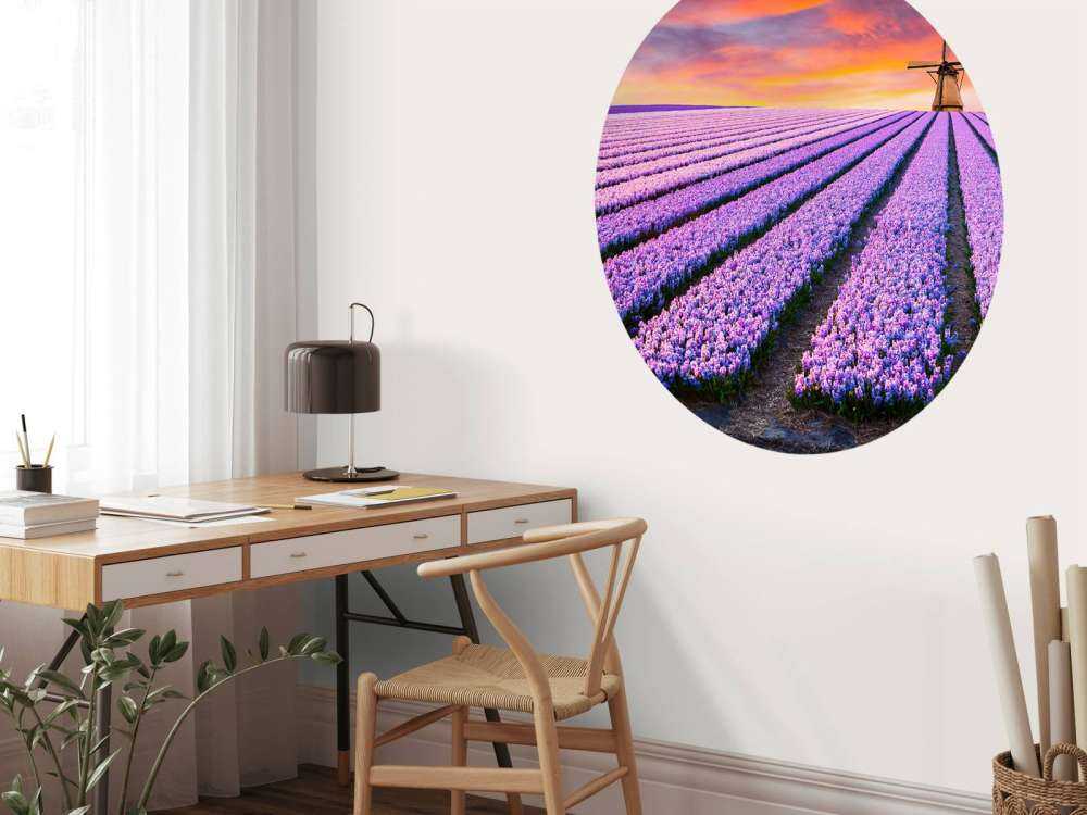 Muscari bleus