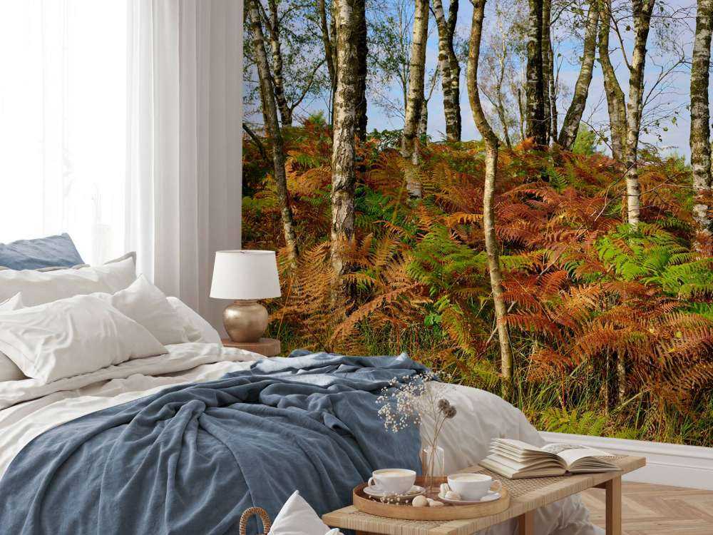 Bouleaux avec fougères colorées
