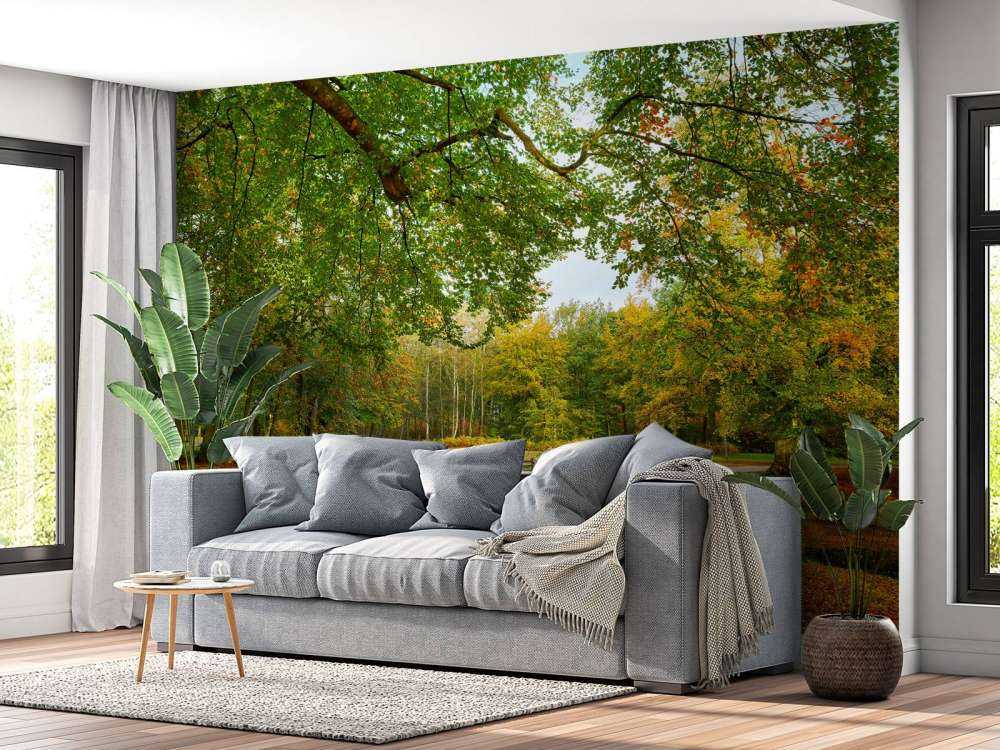 Un pont dans la forêt