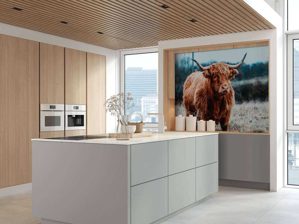 Un Highland écossais dans la forêt