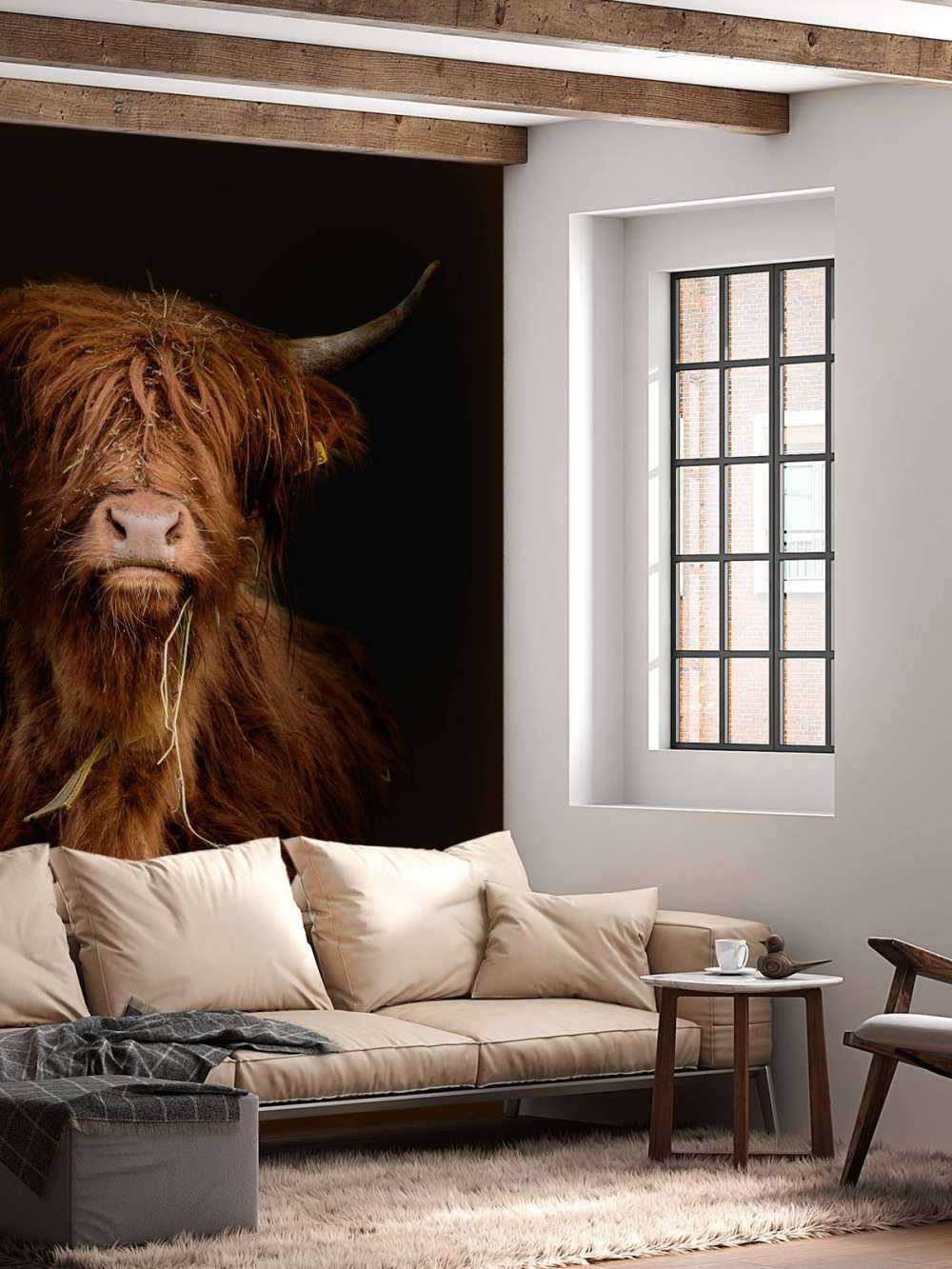 Portrait Scottish Highlander