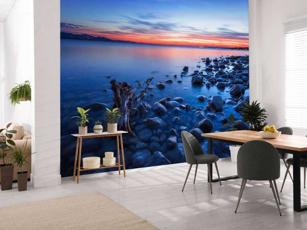 Rive boueuse à la lumière du soir.