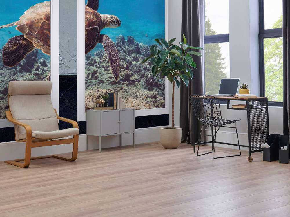 Tortue de mer au-dessus du récif corallien