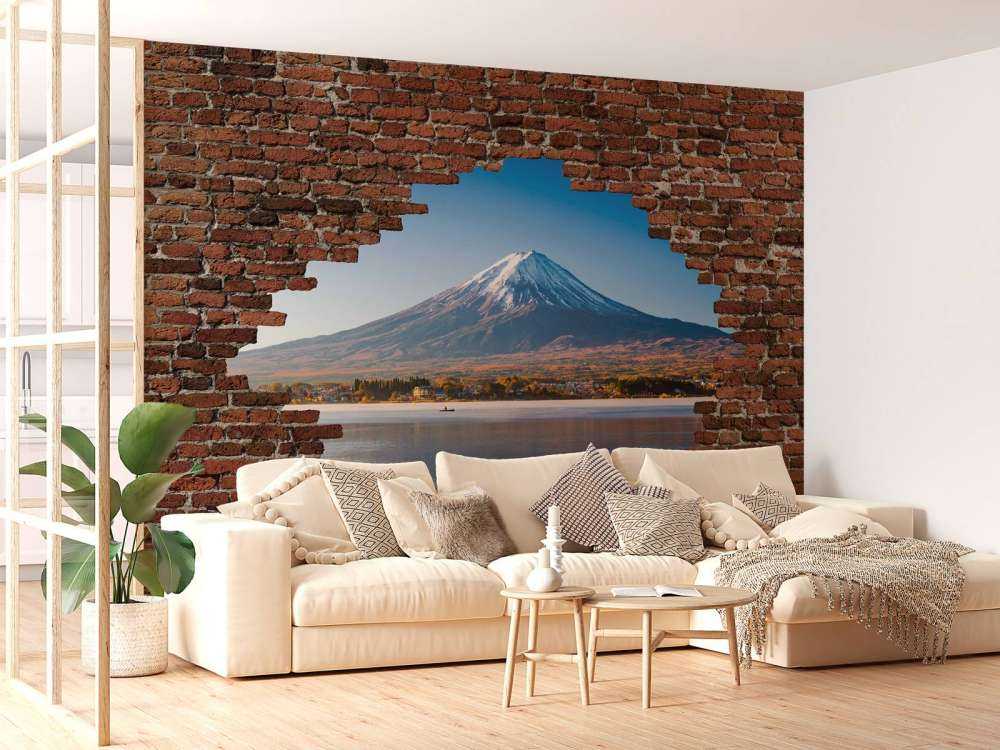 Vue sur le mont Fuji