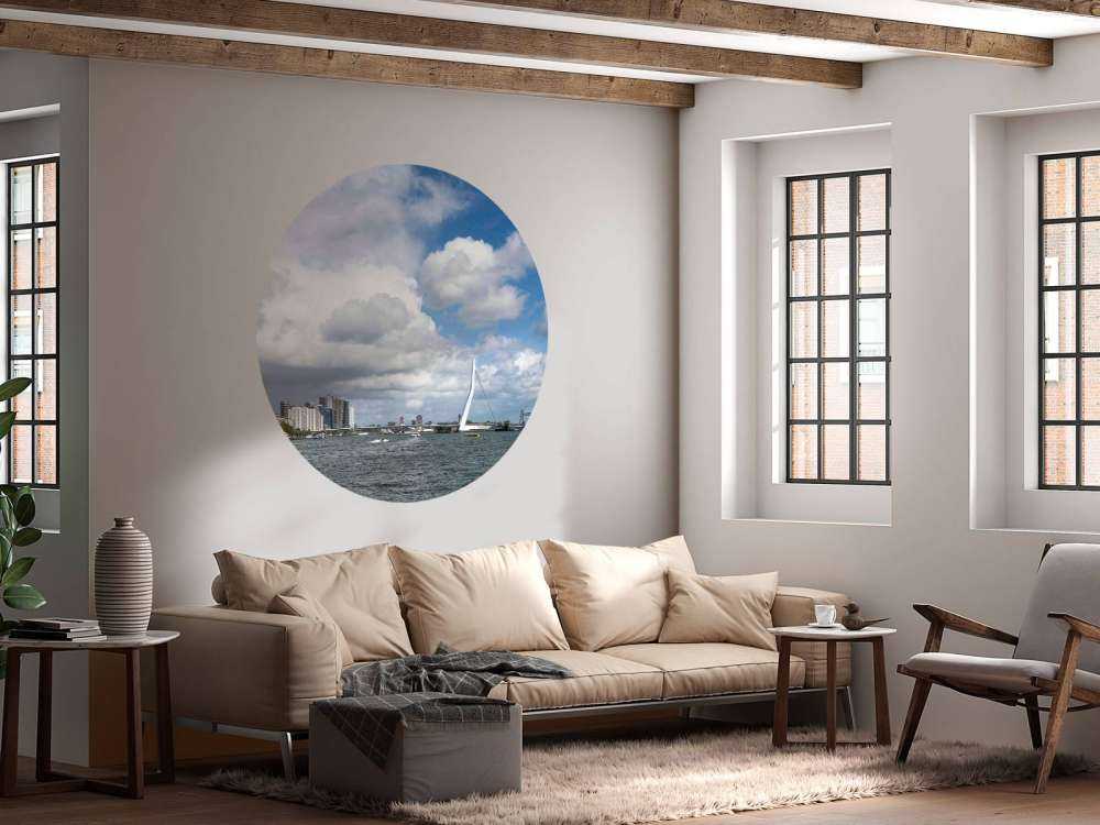 Vue de la ville avec le pont Erasmus