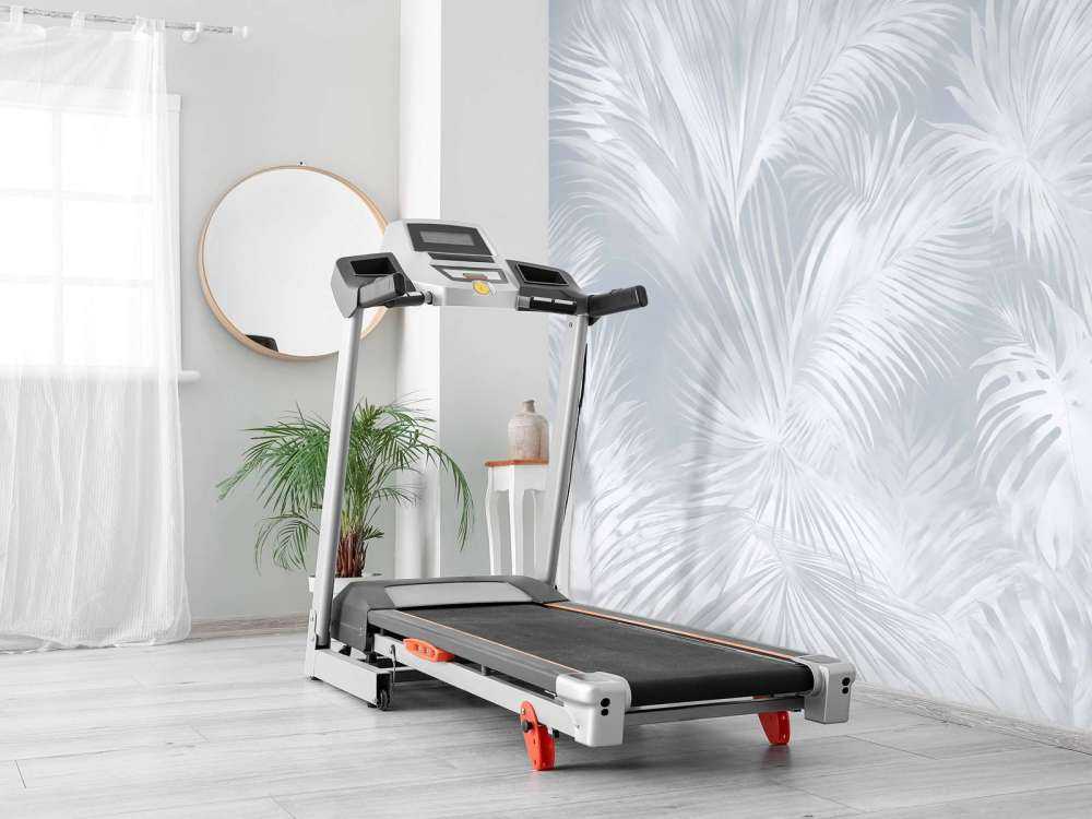 Palm Extravaganza Ciel