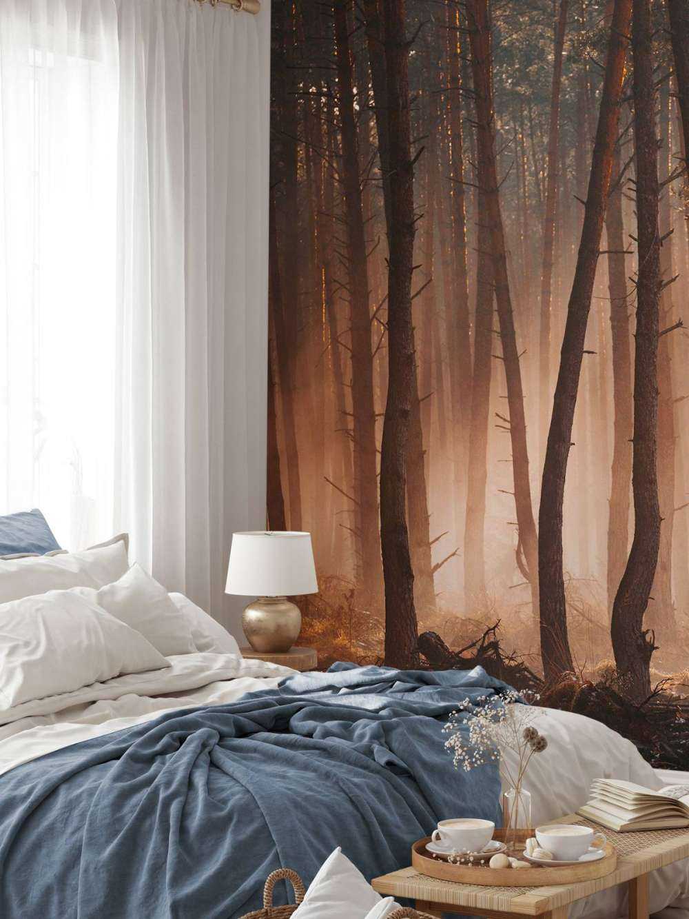 Transition des Saisons