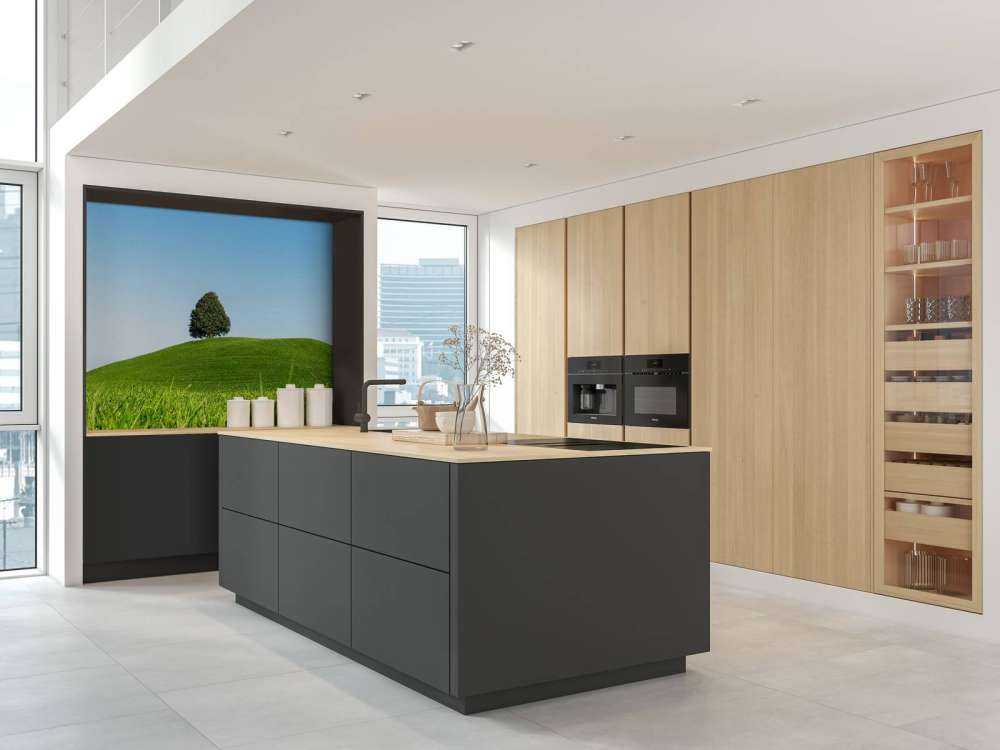 Arbre solitaire sur une colline verte