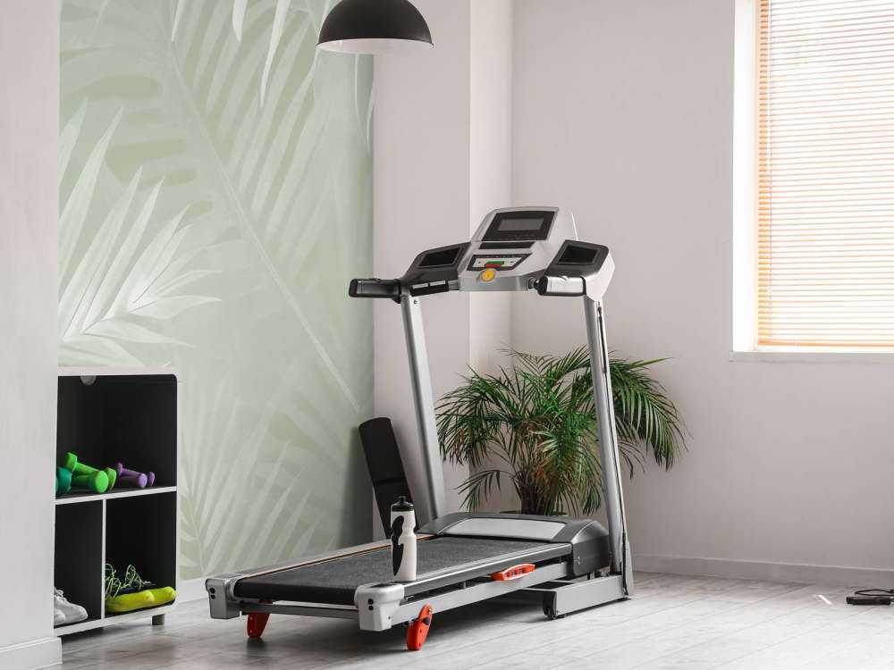 Feuilles de palmier brumeuses - vertes