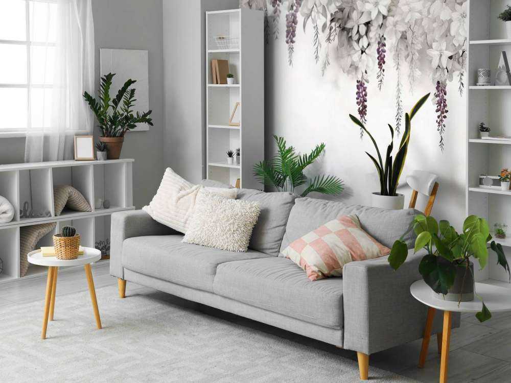 Jardin de Glycine Douce Blanc