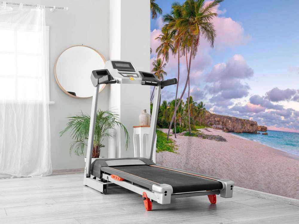 Plage tropicale au crépuscule.