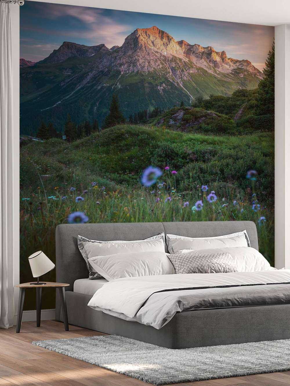 Lumière du soir sur la vallée des fleurs