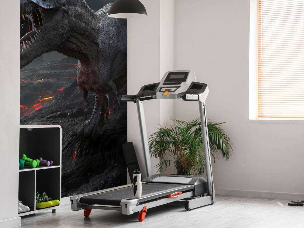 Dinosaures 3D