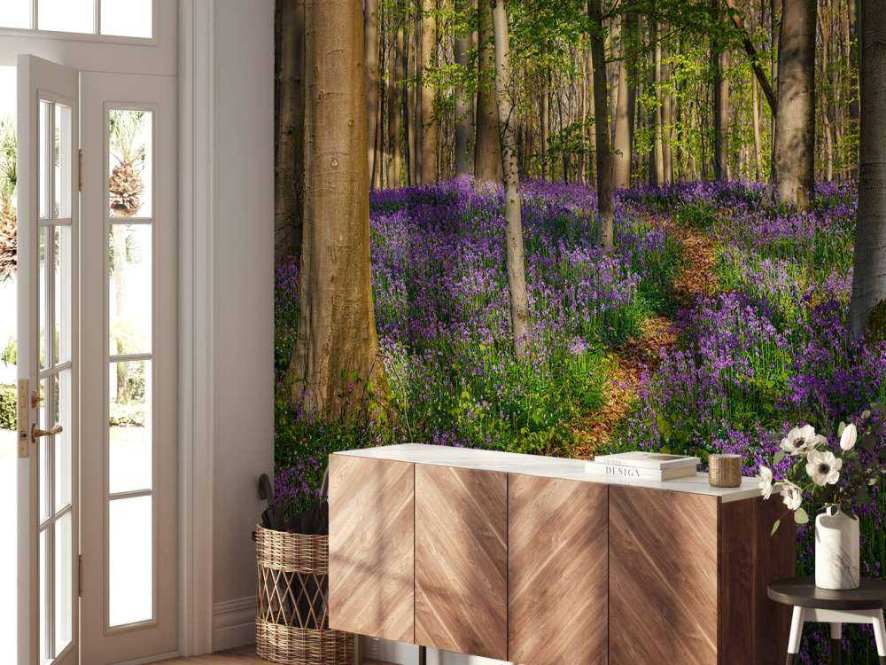 Chemin à travers une forêt avec des jacinthes