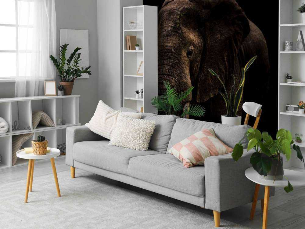 Elephant With Hummingbirds