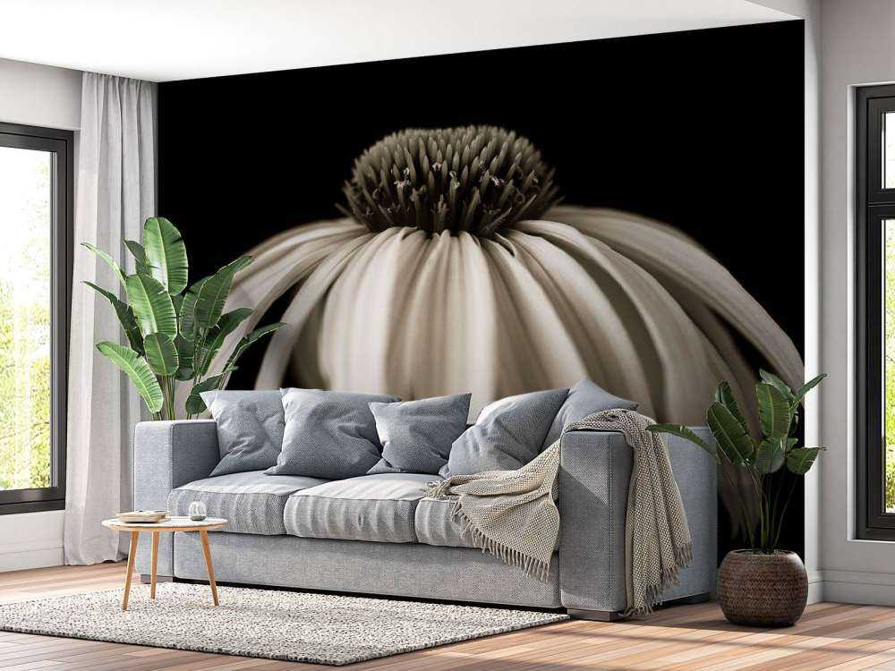 Fleur de cône en gros plan