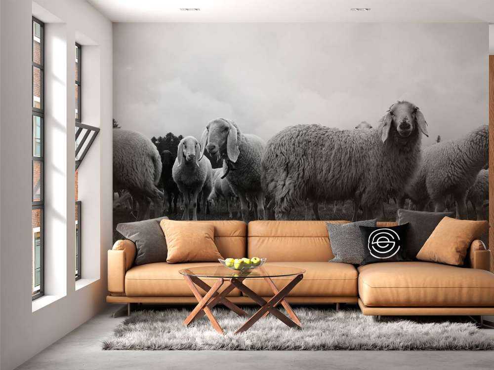 Troupeau de moutons en noir et blanc